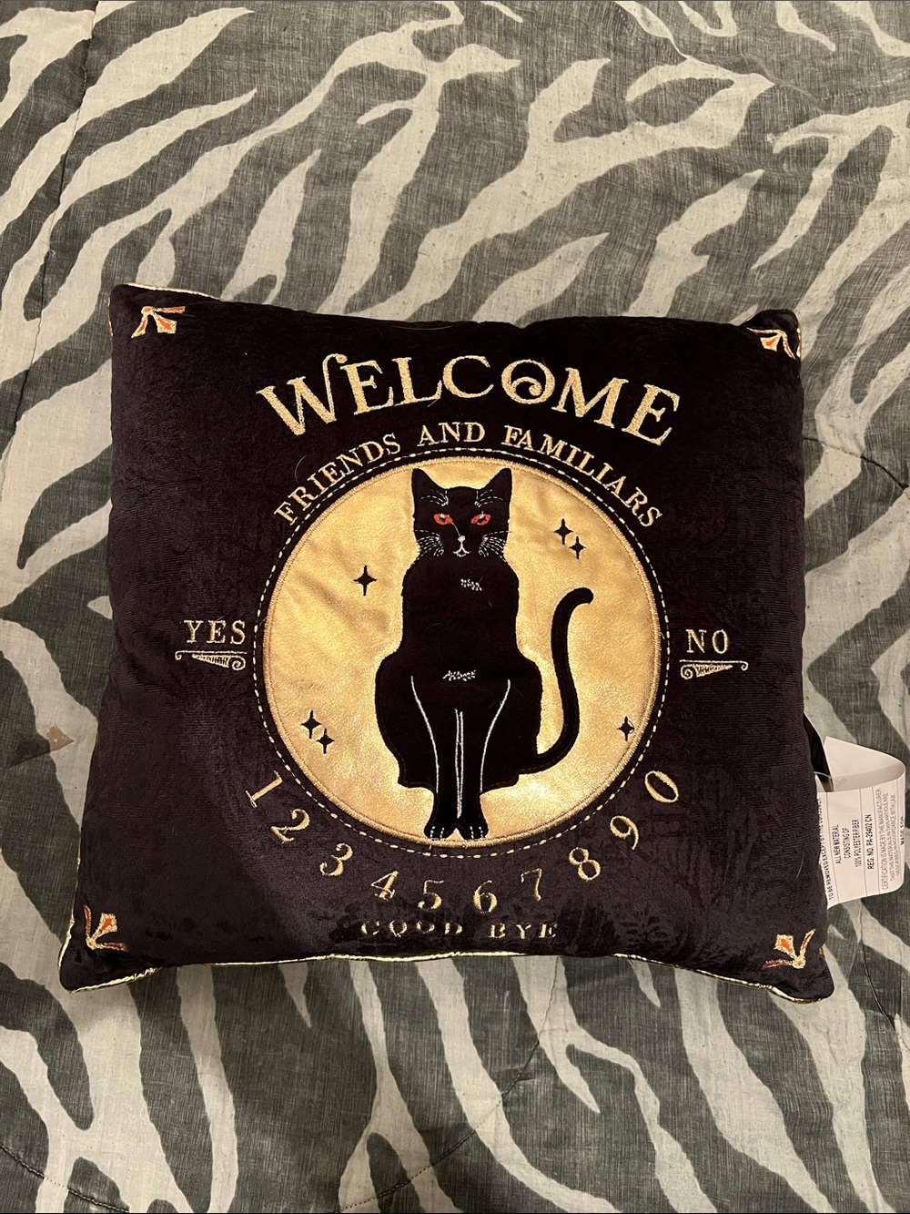 Halloween Witchy Black Cat Pillow
